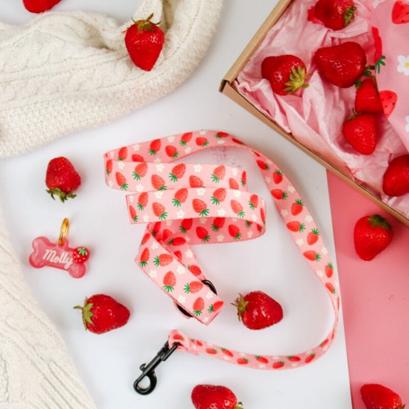 Smycz "Sweet Strawberry"